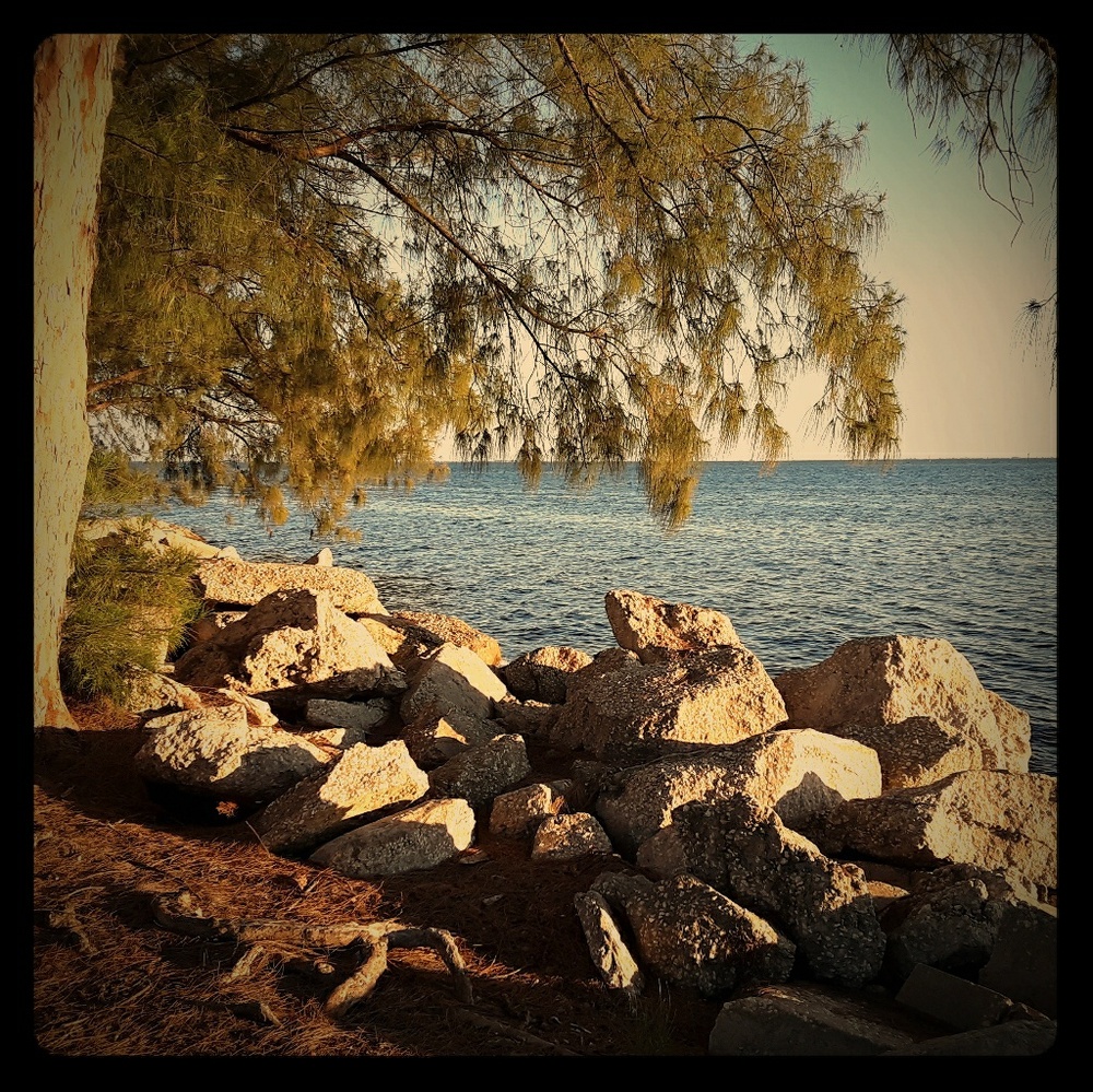 Meet your Posher, Rose